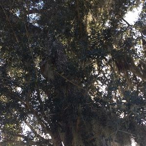 Meet your Posher, Aimee